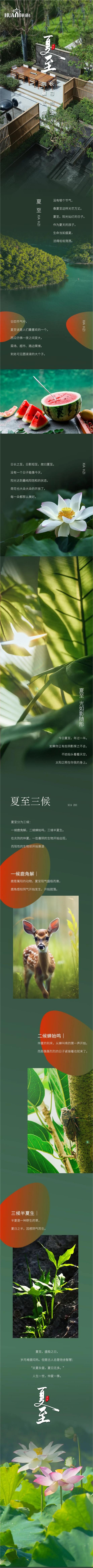 640.jpg